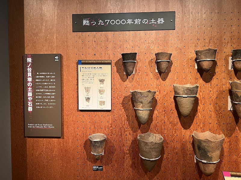 船橋市飛ノ台史跡公園博物館