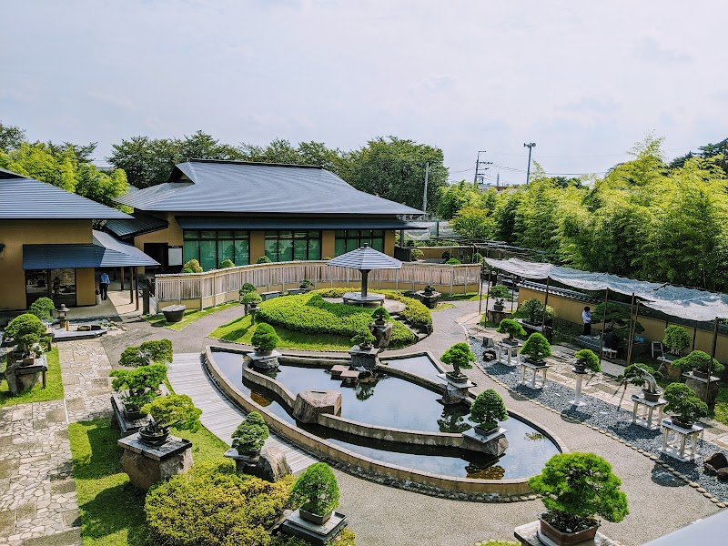 大宮盆栽美術館