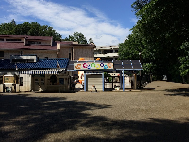 市立市川自然博物館