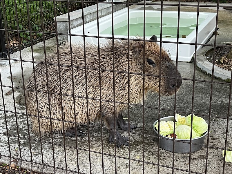 ふれあい動物園