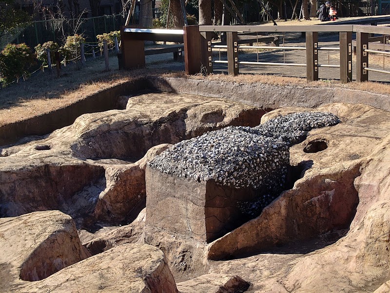船橋市飛ノ台史跡公園博物館