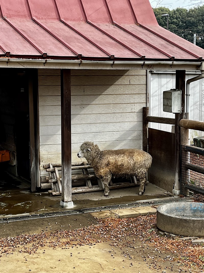 大崎公園 子供動物園