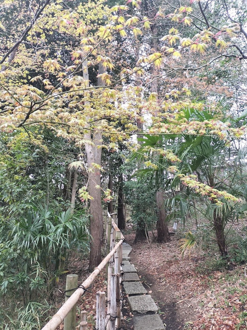 日吉の森庭園美術館