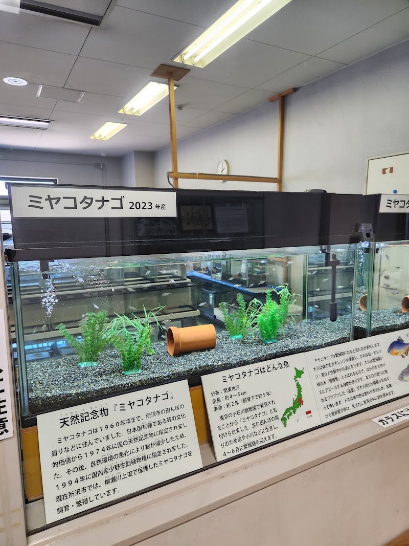 所沢市立埋蔵文化財調査センター