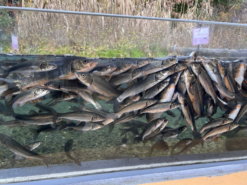 相模川ふれあい科学館 アクアリウムさがみはら