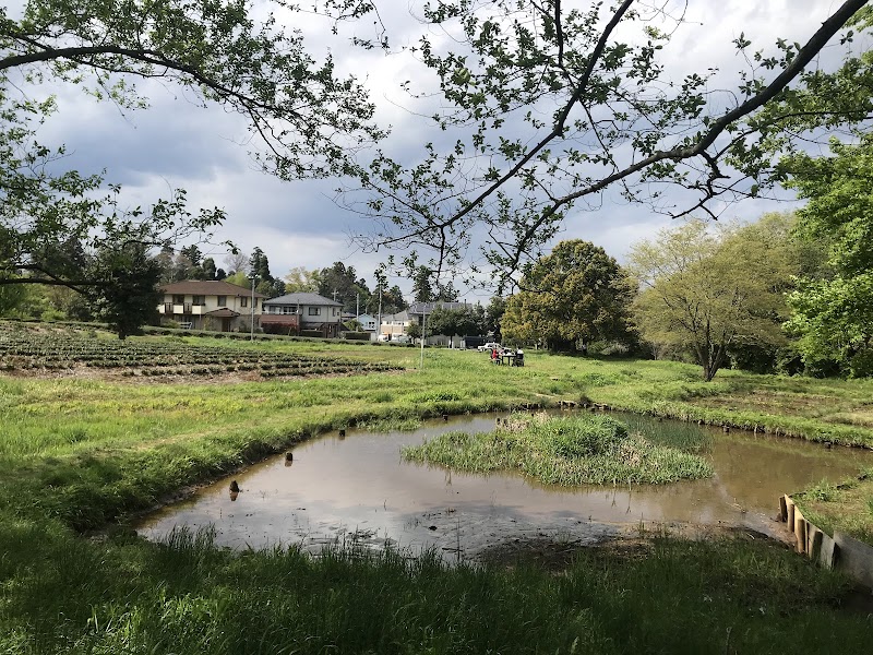 さいたま緑の森博物館