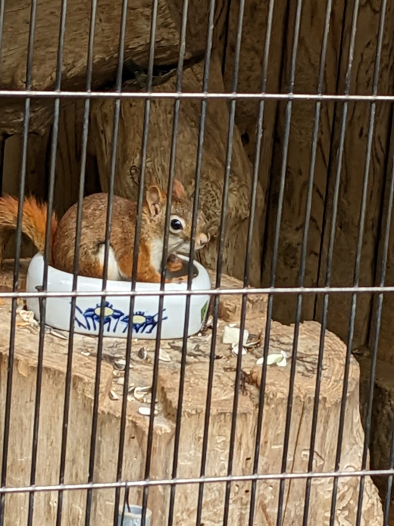 大崎公園 子供動物園