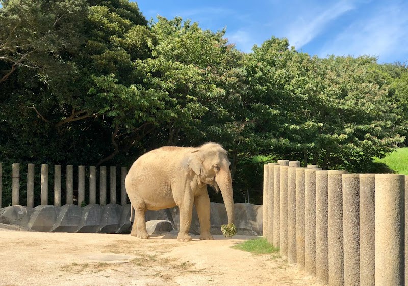 千葉市動物公園