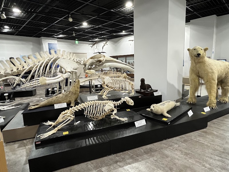日本大学生物資源科学部博物館 骨の博物館