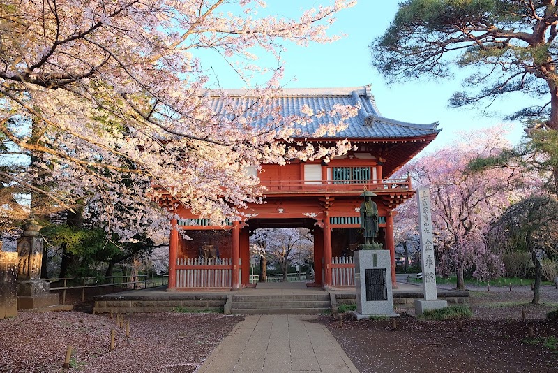 清水公園