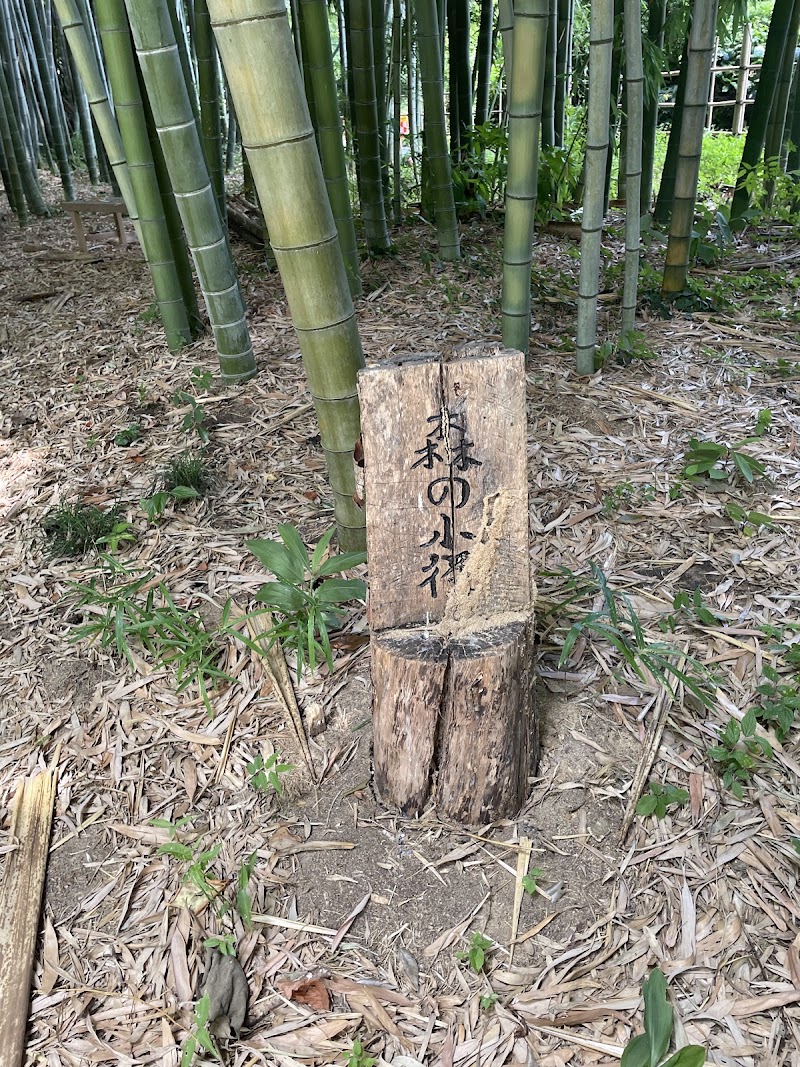 森の美術館
