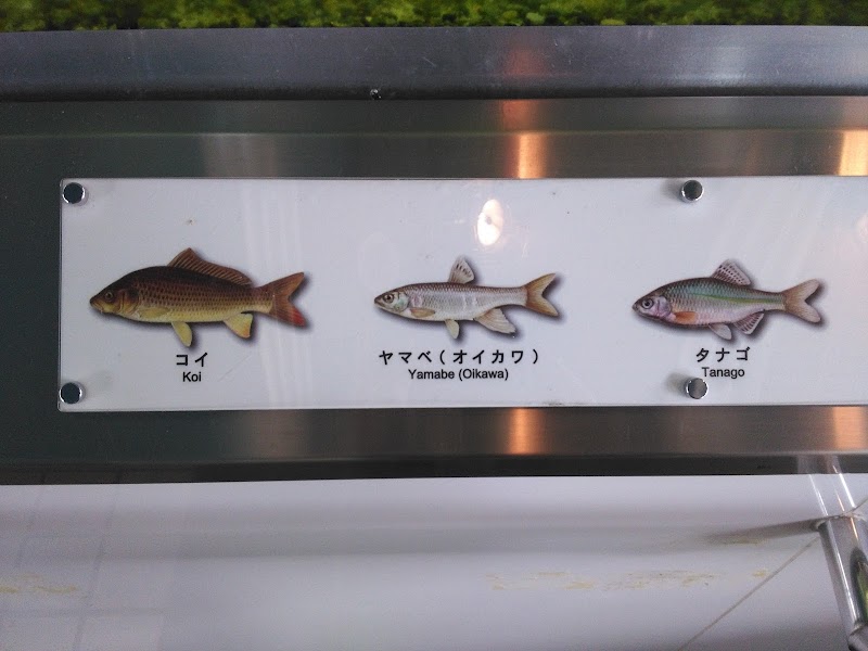 多摩川ふれあい水族館