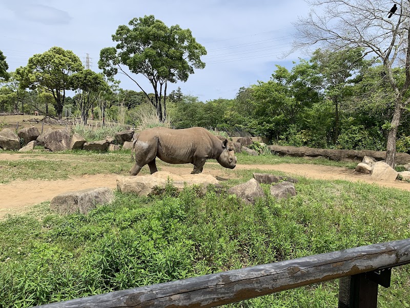 横浜動物の森公園（よこはま動物園ズーラシア）