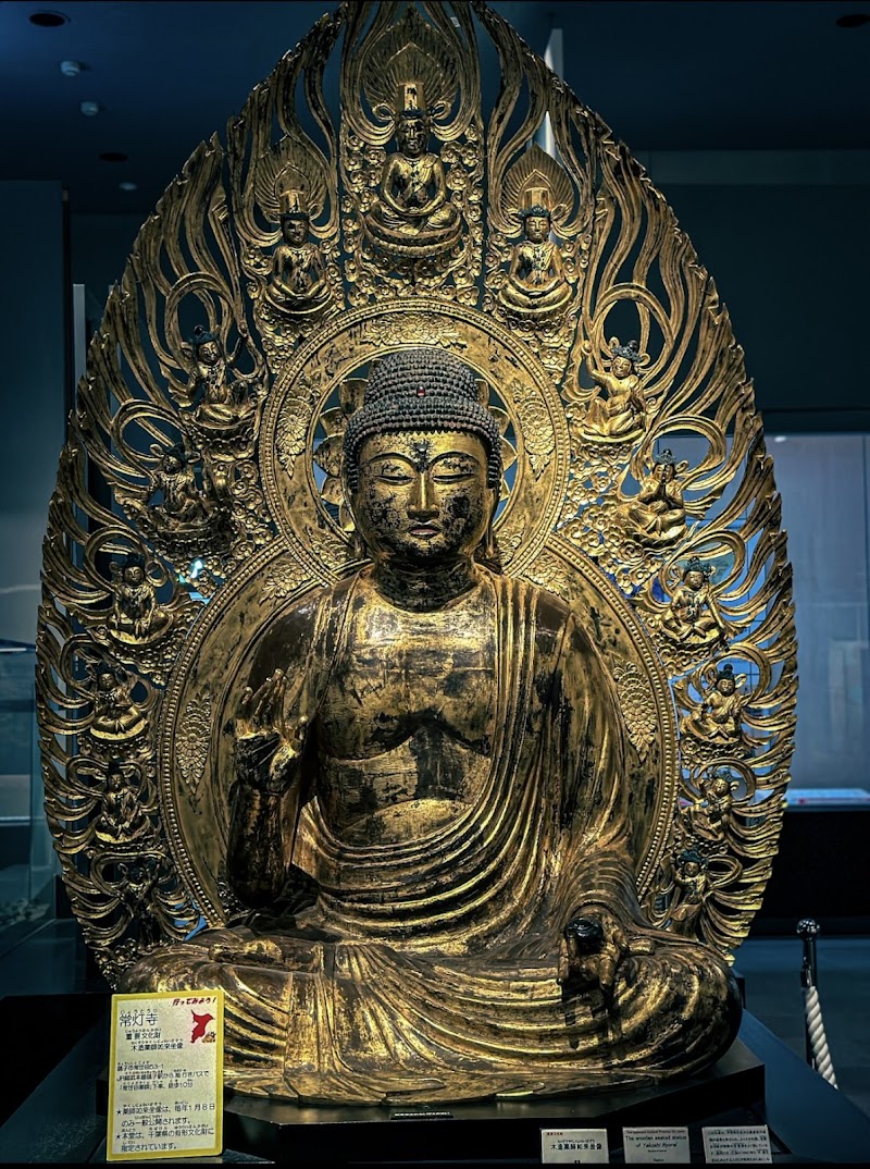 千葉県立中央博物館