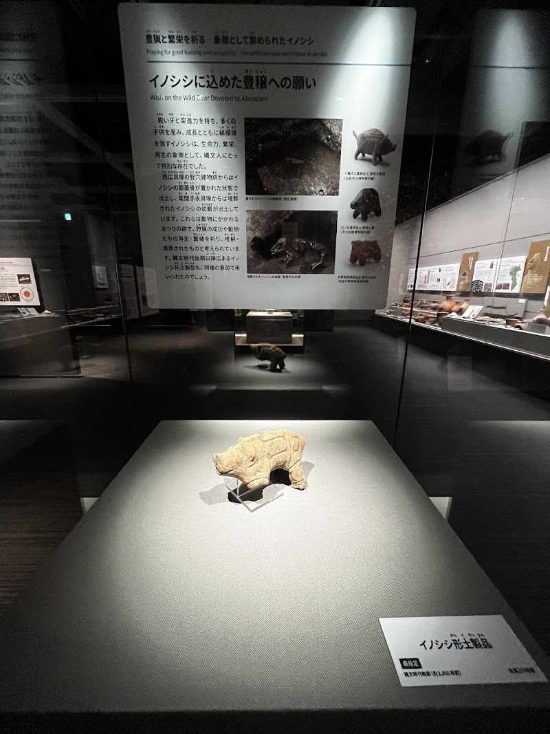 市原歴史博物館 歴史体験館