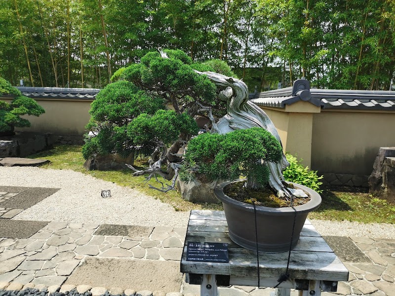 大宮盆栽美術館