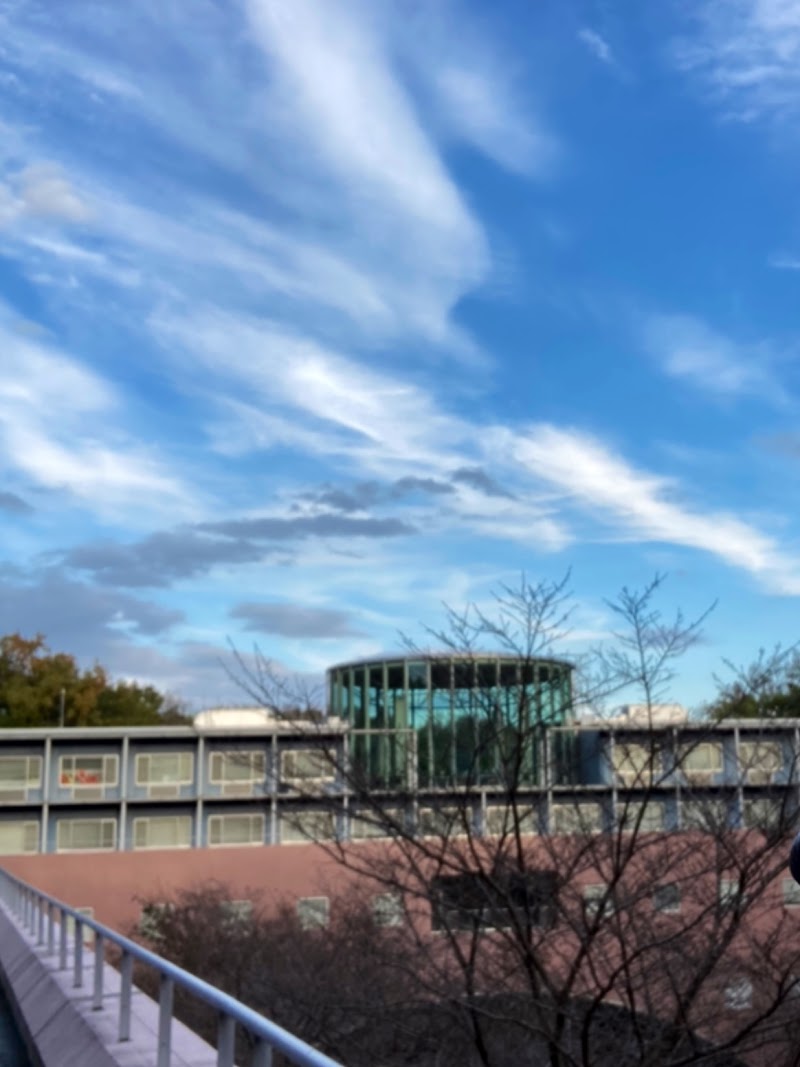 東京造形大学付属美術館