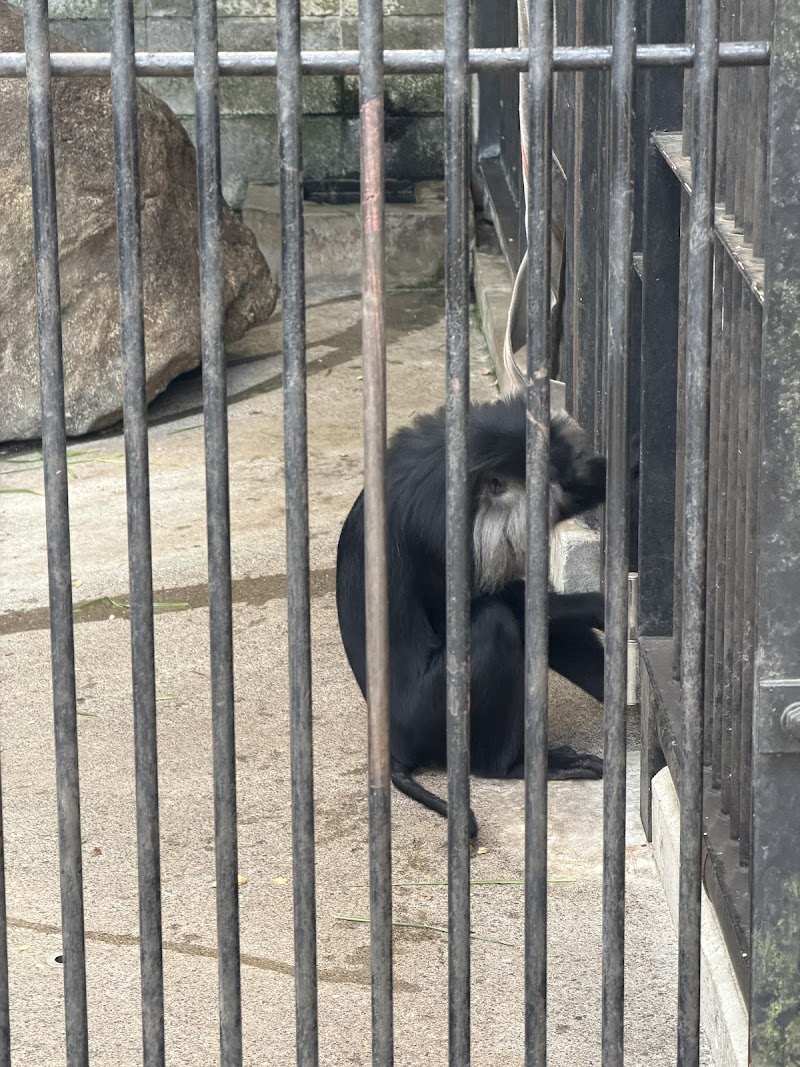 大宮公園小動物園
