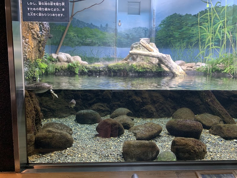 井の頭自然文化園 水生物館