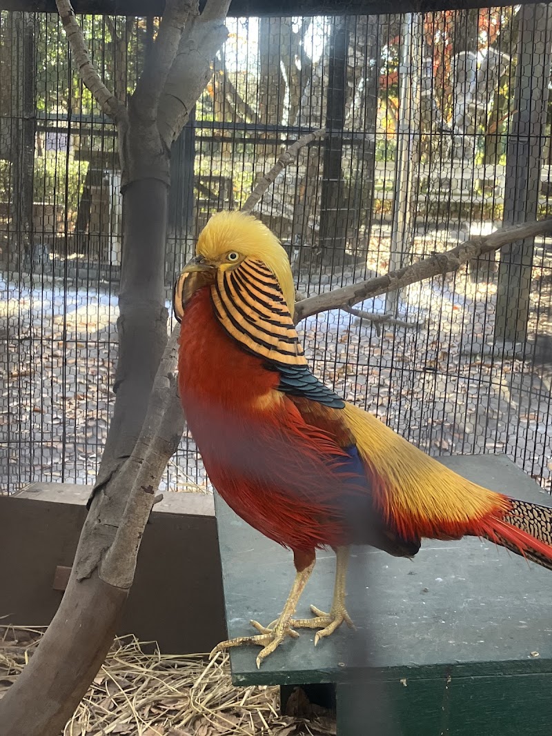 相模原麻溝公園 ふれあい動物広場
