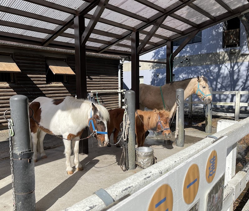相模原麻溝公園 ふれあい動物広場