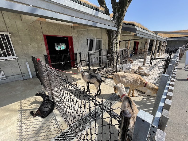 板橋こども動物園