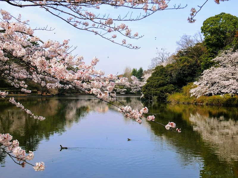 大宮公園小動物園 の写真