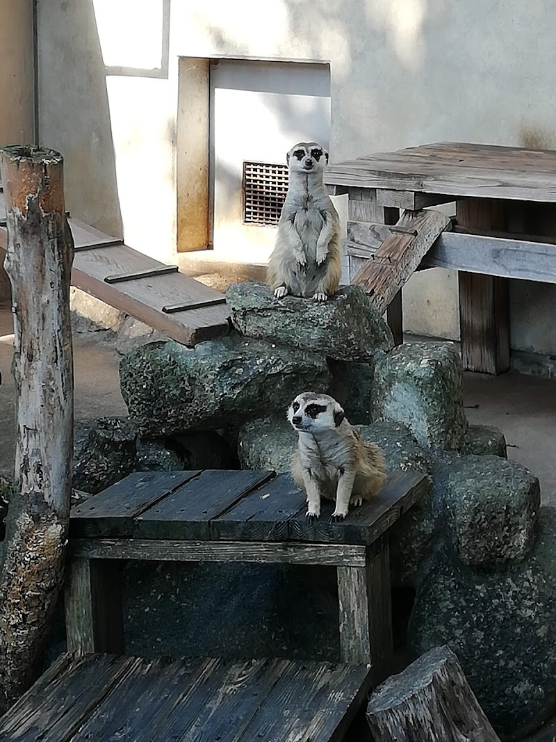 市立市川自然博物館