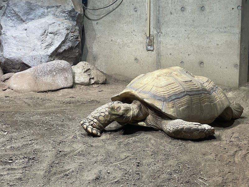 足立区生物園