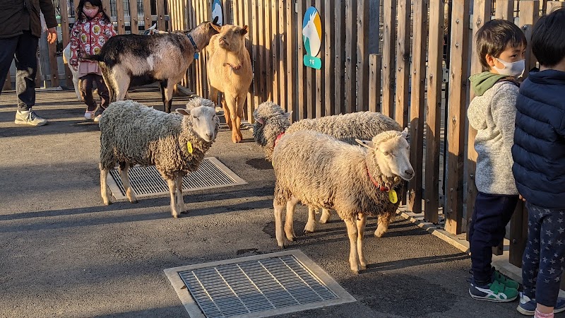 板橋こども動物園