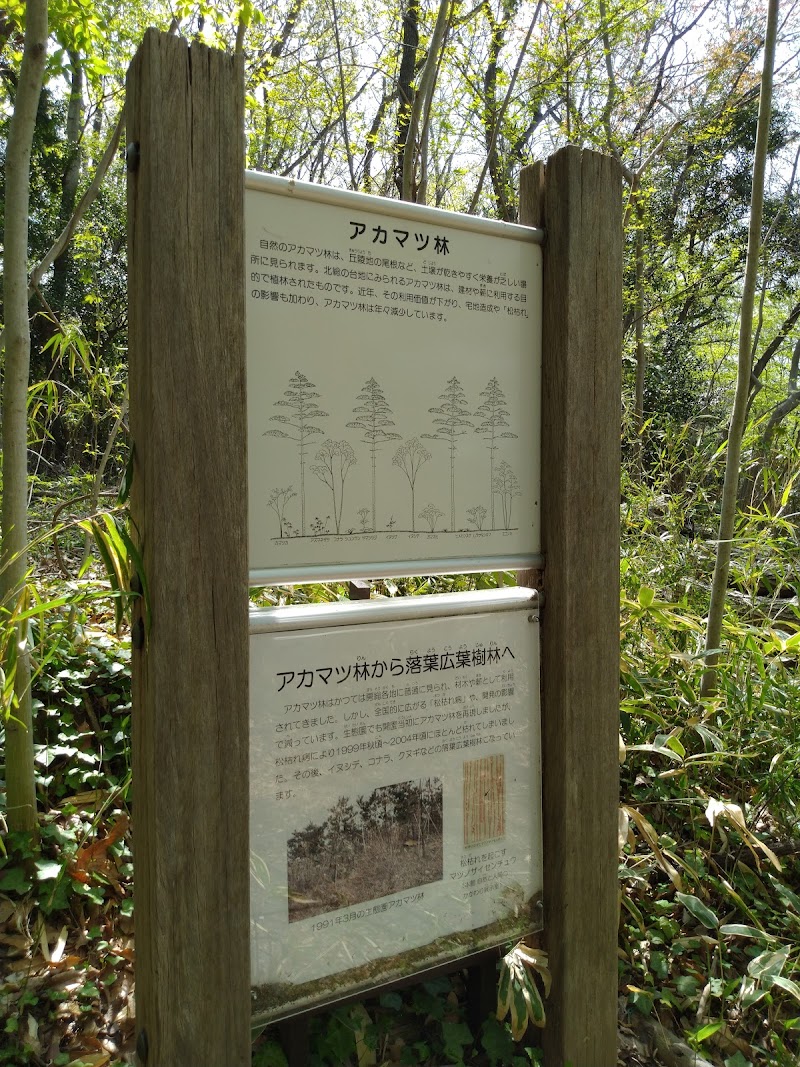 生態園