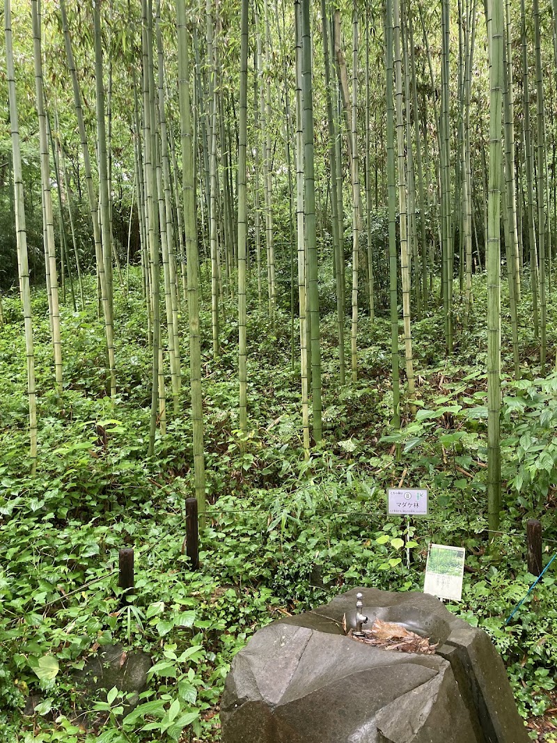 生態園