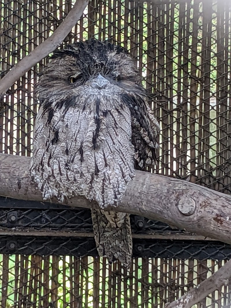 大宮公園小動物園