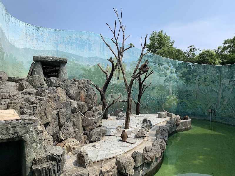 こども動物園