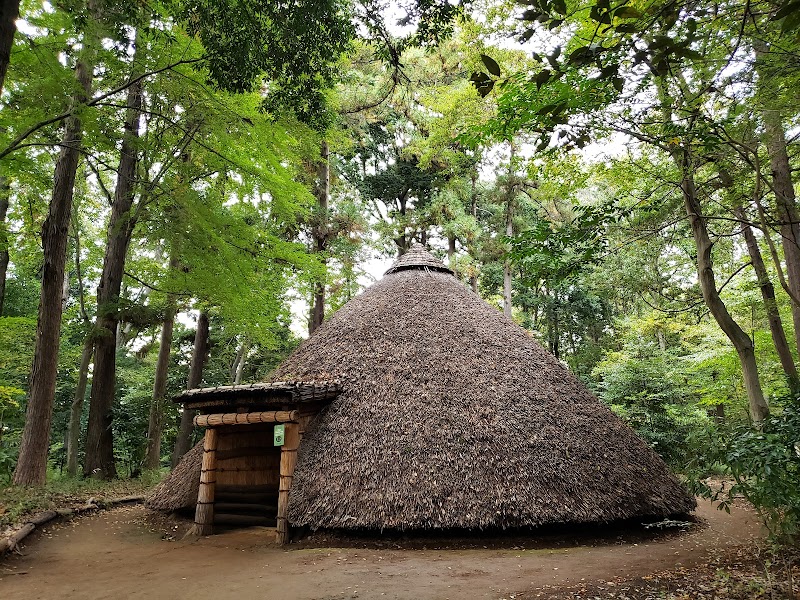 松戸市立博物館