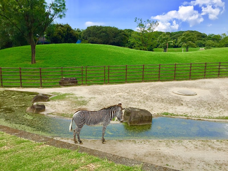 千葉市動物公園