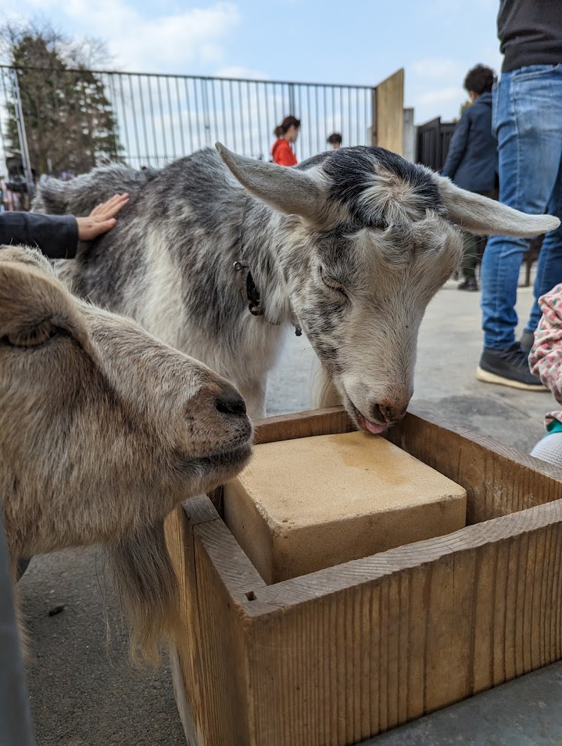 板橋こども動物園