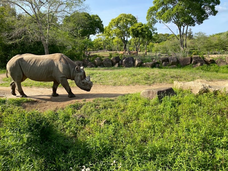 横浜動物の森公園（よこはま動物園ズーラシア）