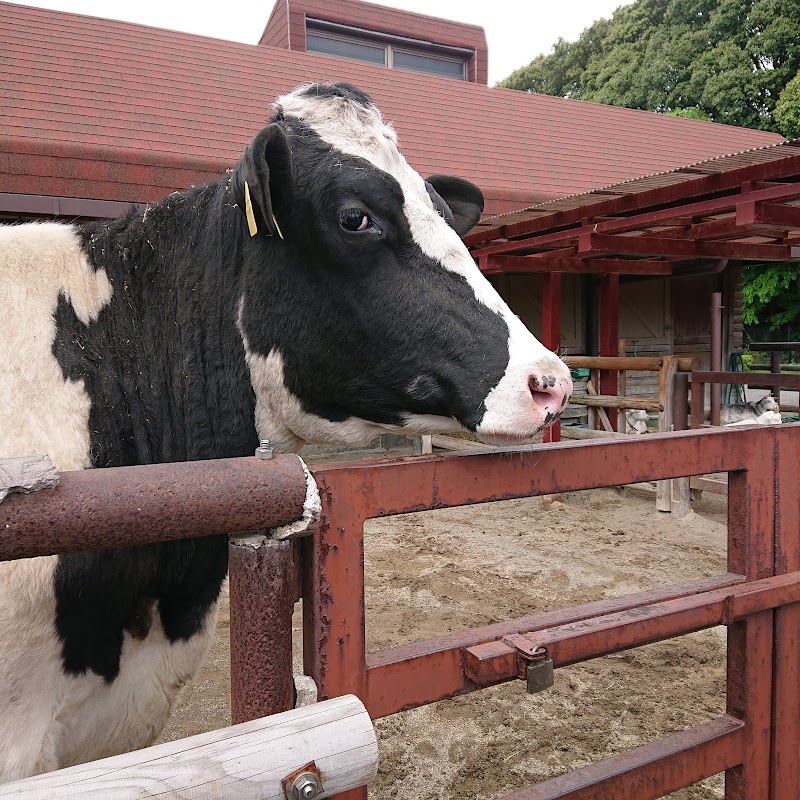 市川市動植物園