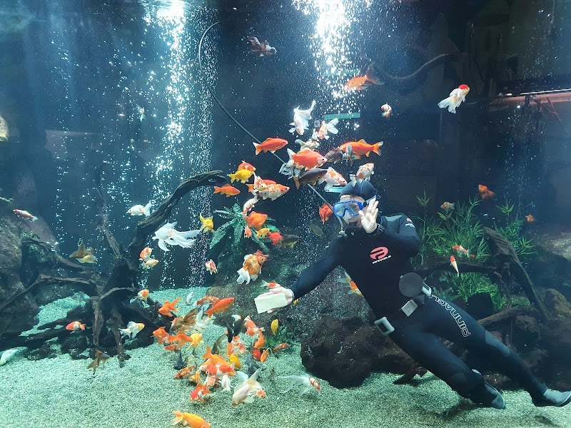 足立区生物園