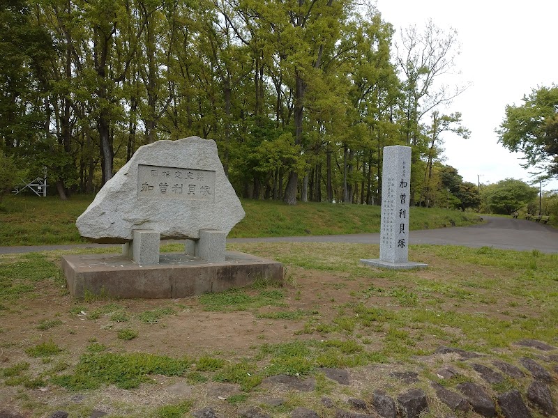 千葉市立加曽利貝塚博物館
