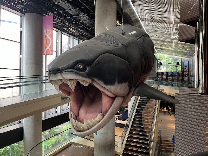 ミュージアムパーク茨城県自然博物館