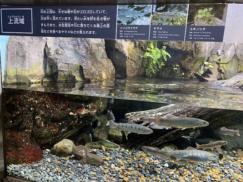 井の頭自然文化園 水生物館