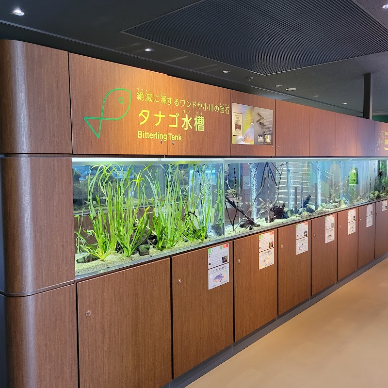 相模川ふれあい科学館 アクアリウムさがみはら