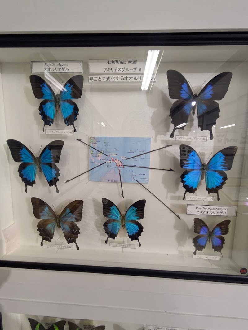 日本大学生物資源科学部博物館 骨の博物館