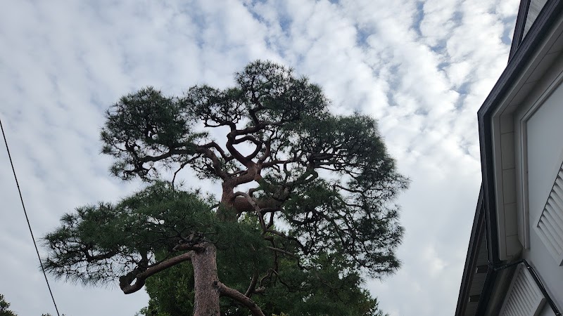 曼荼羅美術館