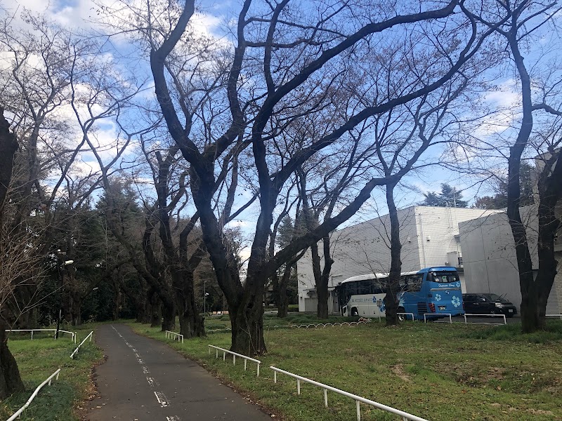 国立ハンセン病資料館