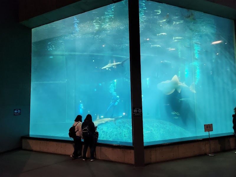 葛西臨海水族園