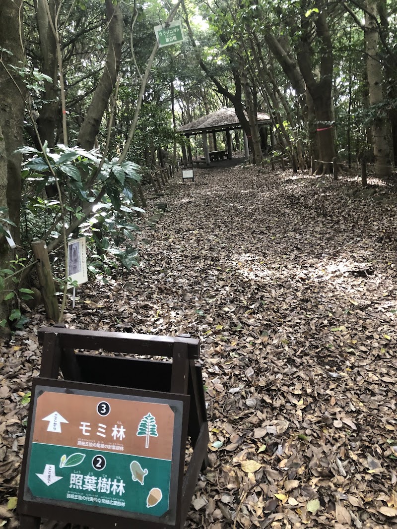 生態園