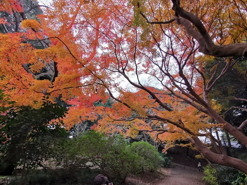 清水公園